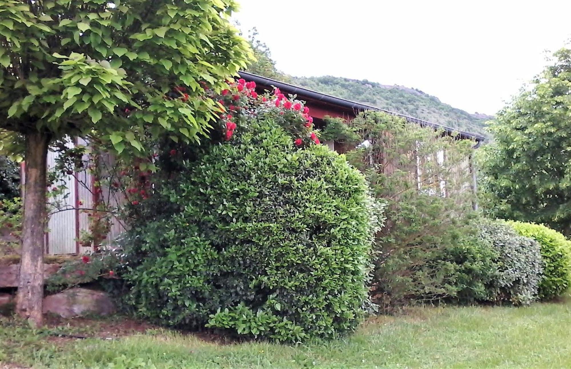 La Fregiere Chalets Clairvaux-d'Aveyron Exterior photo