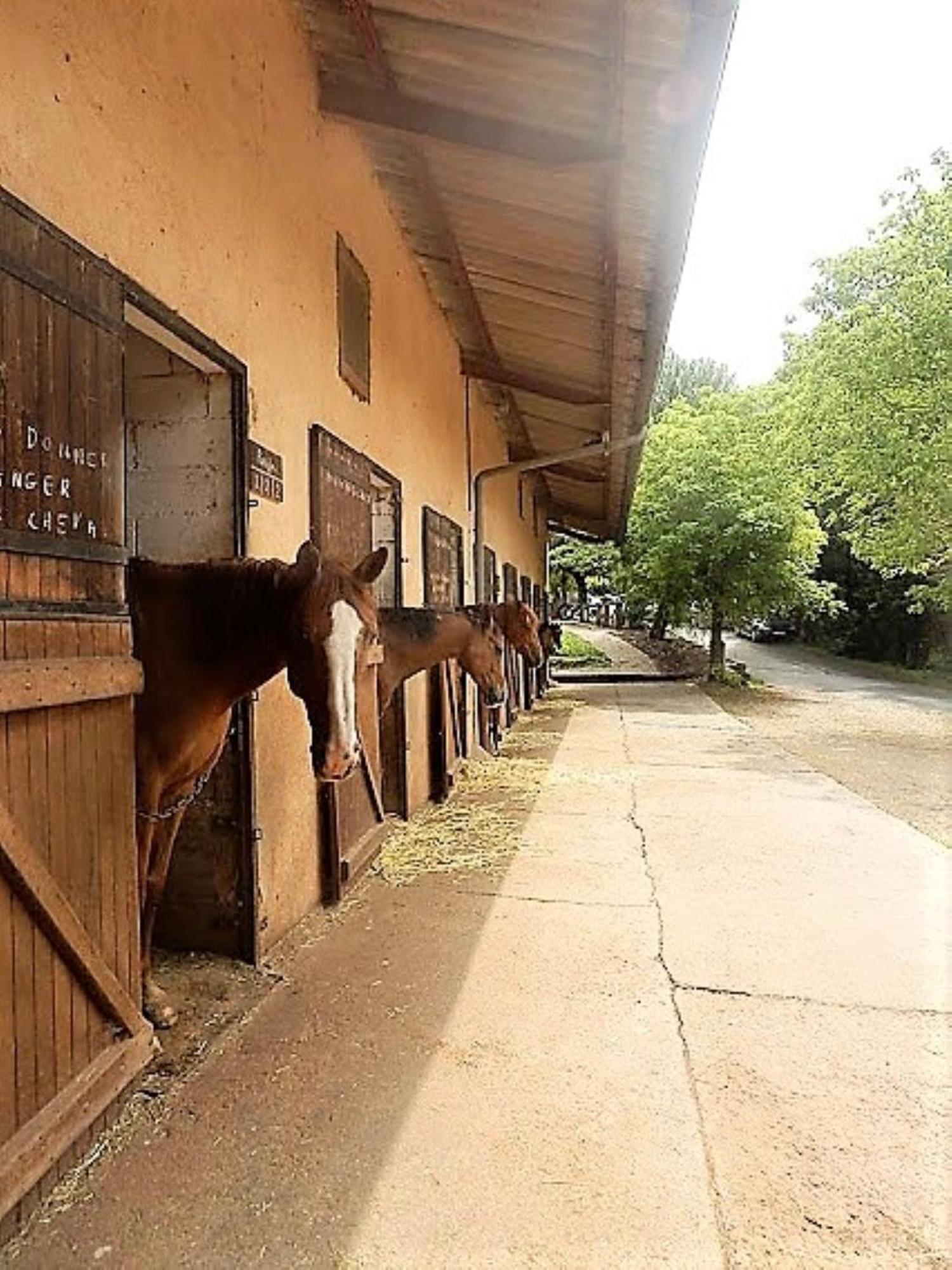 La Fregiere Chalets Clairvaux-d'Aveyron Exterior photo